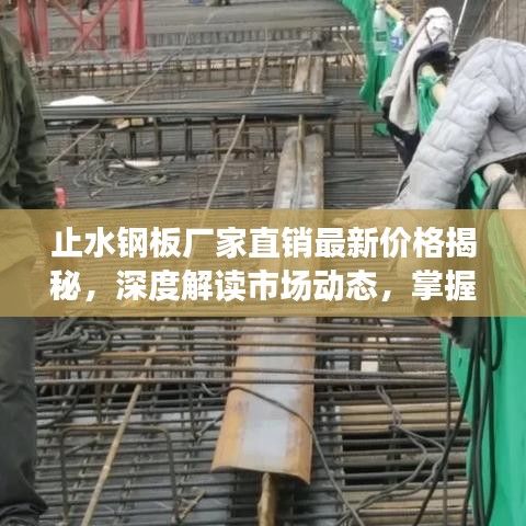 止水钢板厂家直销最新价格揭秘，深度解读市场动态，掌握选购策略