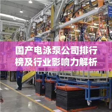 国产电泳泵公司排行榜及行业影响力解析