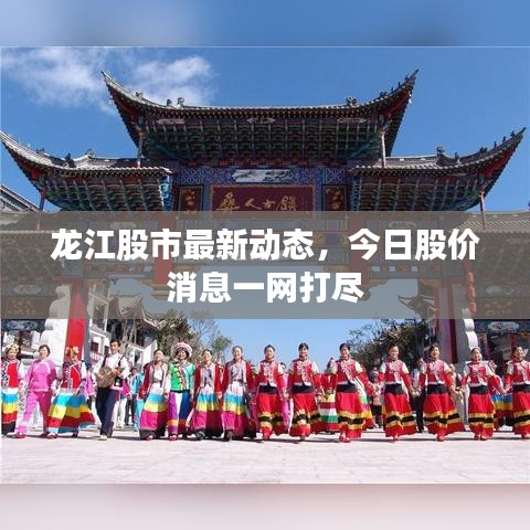 龙江股市最新动态，今日股价消息一网打尽