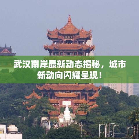 武汉南岸最新动态揭秘，城市新动向闪耀呈现！