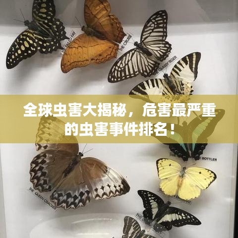 全球虫害大揭秘，危害最严重的虫害事件排名！