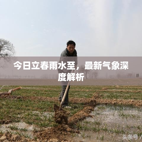 今日立春雨水至，最新气象深度解析