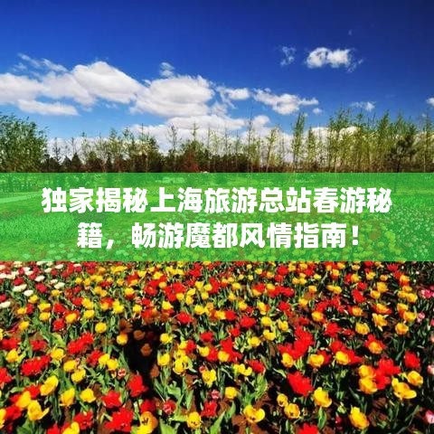独家揭秘上海旅游总站春游秘籍，畅游魔都风情指南！