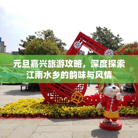 元旦嘉兴旅游攻略，深度探索江南水乡的韵味与风情