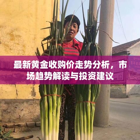 最新黄金收购价走势分析，市场趋势解读与投资建议