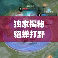 独家揭秘貂蝉打野秘籍，称霸野区，突破战场新境界！
