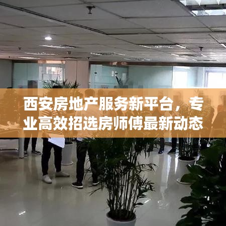 西安房地产服务新平台，专业高效招选房师傅最新动态一网打尽