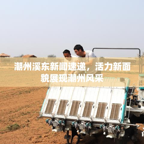 潮州溪东新闻速递，活力新面貌展现潮州风采