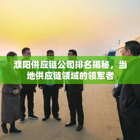 濮阳供应链公司排名揭秘，当地供应链领域的领军者