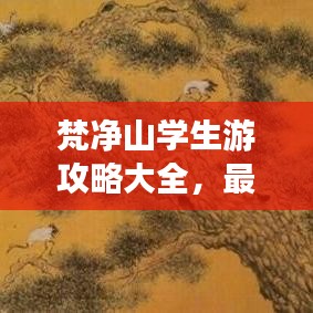 梵净山学生游攻略大全，最新旅行指南助你畅游仙境