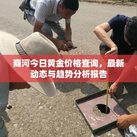商河今日黄金价格查询，最新动态与趋势分析报告