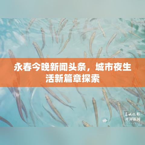 永春今晚新闻头条，城市夜生活新篇章探索
