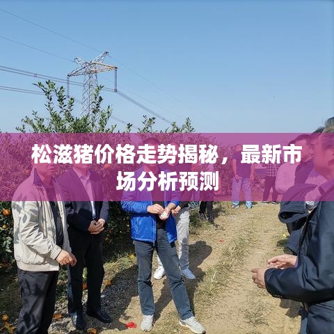 松滋猪价格走势揭秘，最新市场分析预测