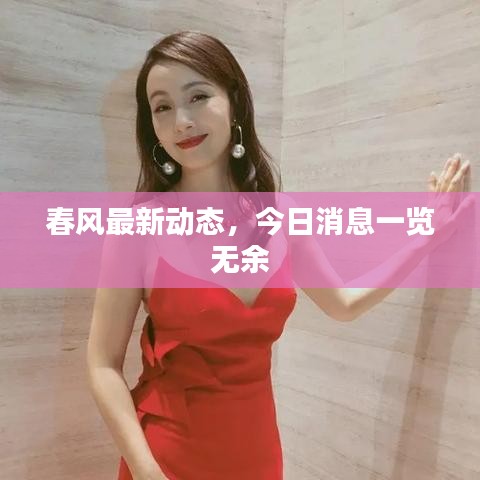 春风最新动态，今日消息一览无余