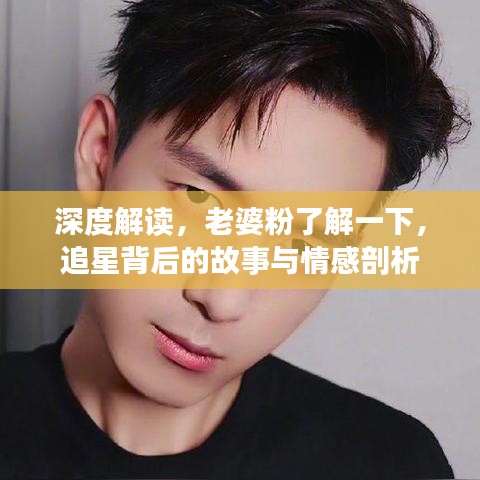 深度解读，老婆粉了解一下，追星背后的故事与情感剖析