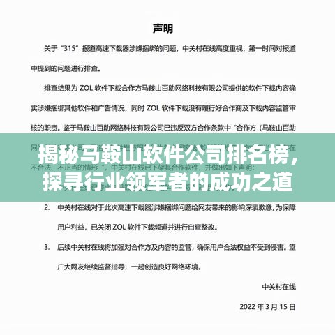揭秘马鞍山软件公司排名榜，探寻行业领军者的成功之道