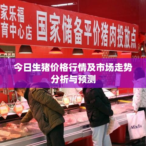 今日生猪价格行情及市场走势分析与预测