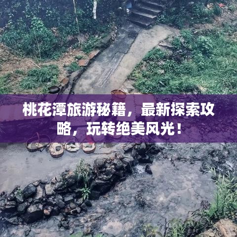 2025年6月10日 第20页