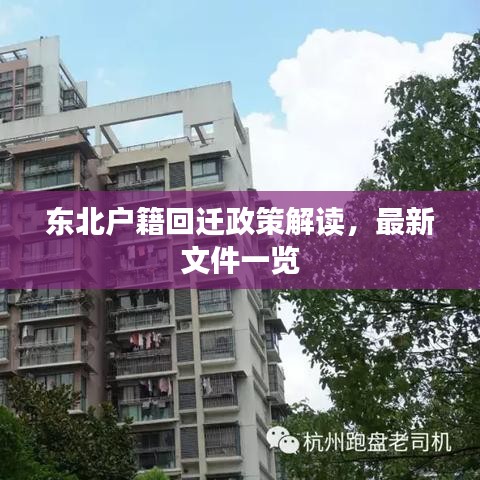2025年6月10日 第17页