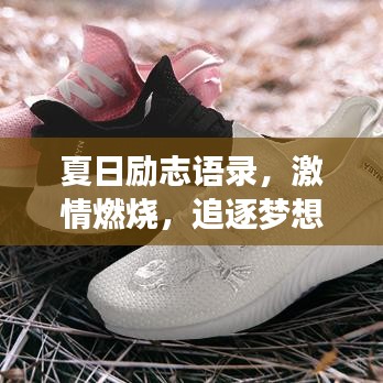 夏日励志语录，激情燃烧，追逐梦想的步伐不停歇