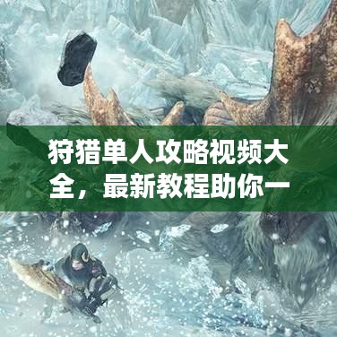 狩猎单人攻略视频大全，最新教程助你一步步成为狩猎大师！