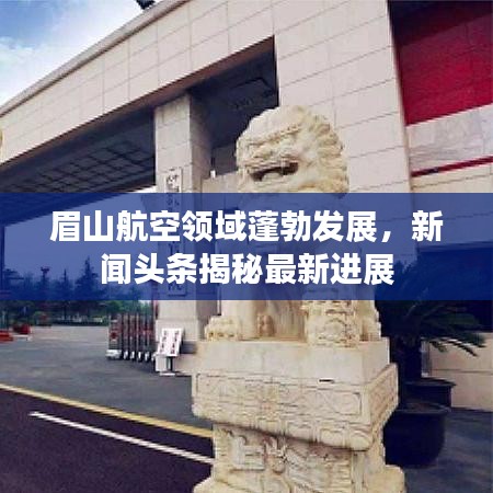眉山航空领域蓬勃发展，新闻头条揭秘最新进展