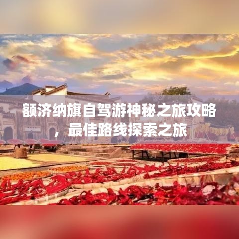 额济纳旗自驾游神秘之旅攻略，最佳路线探索之旅
