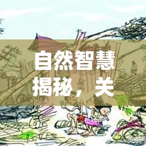 自然智慧揭秘，关于雨的谚语探秘