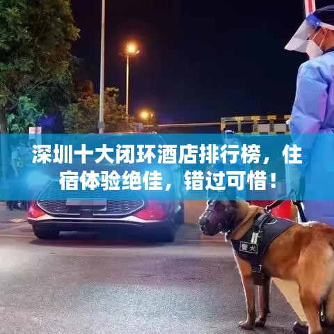 深圳十大闭环酒店排行榜，住宿体验绝佳，错过可惜！