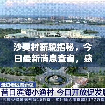 沙美村新貌揭秘，今日最新消息查询，感受乡村变迁的魅力