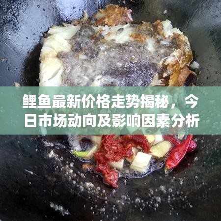 鲤鱼最新价格走势揭秘，今日市场动向及影响因素分析报告
