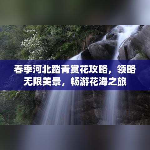 春季河北踏青赏花攻略，领略无限美景，畅游花海之旅