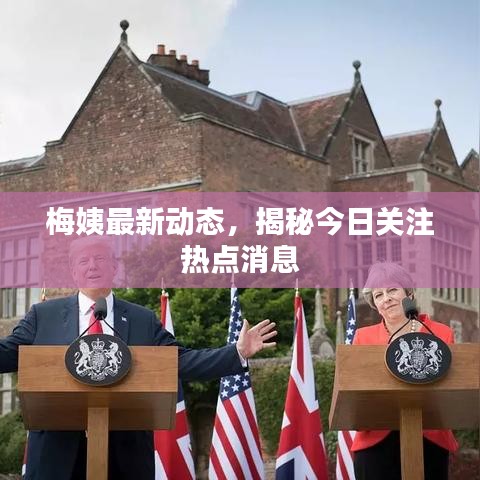 梅姨最新动态，揭秘今日关注热点消息