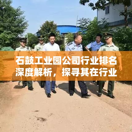 石鼓工业园公司行业排名深度解析，探寻其在行业中的位置与影响力
