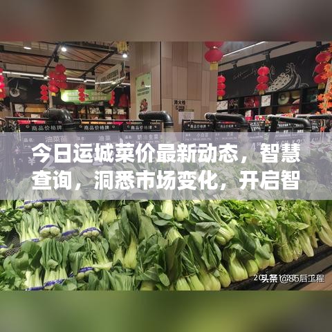 今日运城菜价最新动态，智慧查询，洞悉市场变化，开启智慧生活