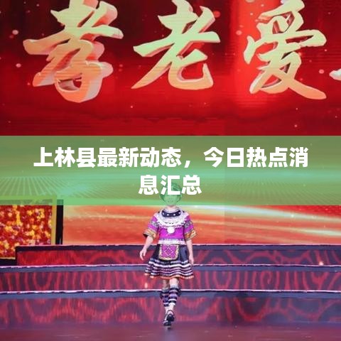 上林县最新动态，今日热点消息汇总