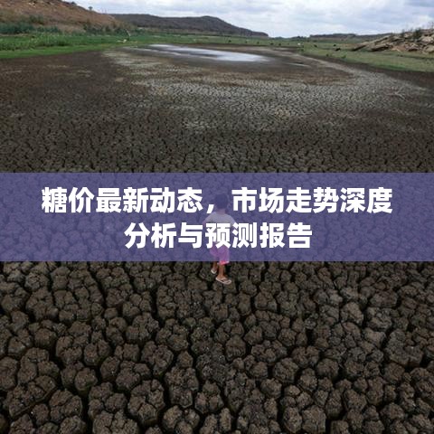 糖价最新动态，市场走势深度分析与预测报告