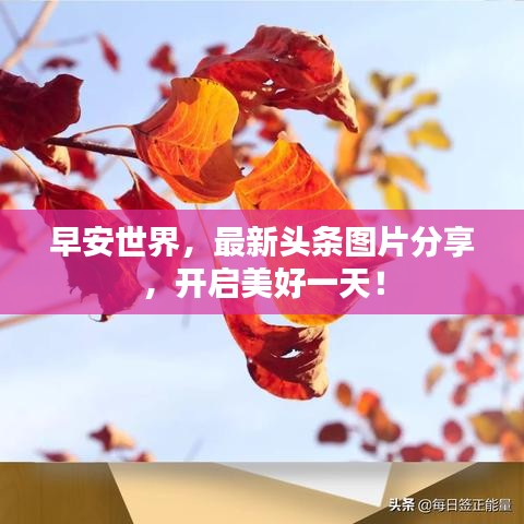 早安世界，最新头条图片分享，开启美好一天！