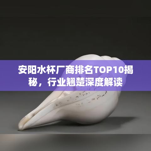 安阳水杯厂商排名TOP10揭秘，行业翘楚深度解读