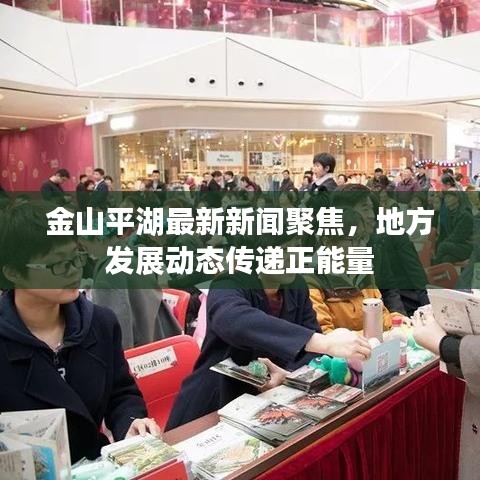金山平湖最新新闻聚焦，地方发展动态传递正能量