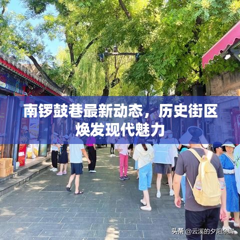 南锣鼓巷最新动态，历史街区焕发现代魅力