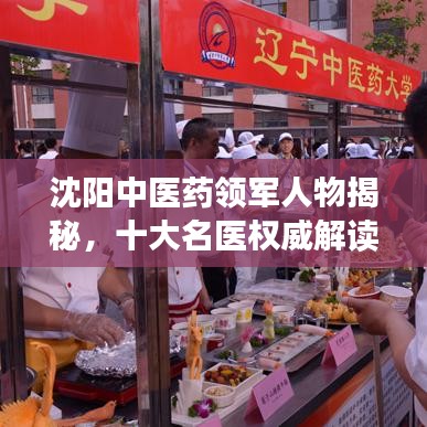 沈阳中医药领军人物揭秘，十大名医权威解读中医药领域佼佼者