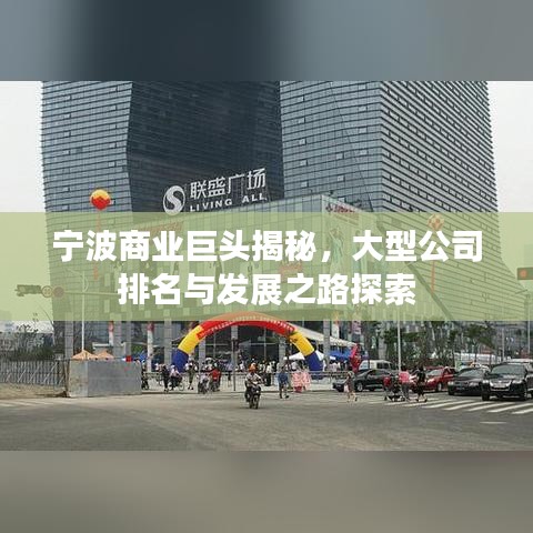 宁波商业巨头揭秘，大型公司排名与发展之路探索