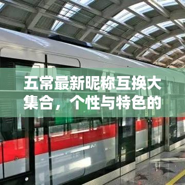 五常最新昵称互换大集合，个性与特色的完美融合