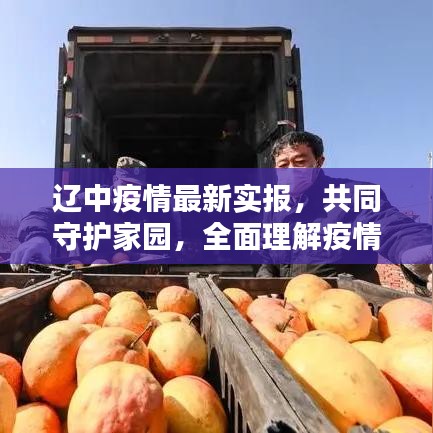 辽中疫情最新实报，共同守护家园，全面理解疫情现状