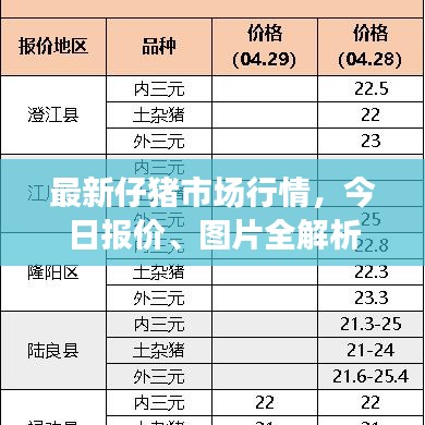 最新仔猪市场行情，今日报价、图片全解析