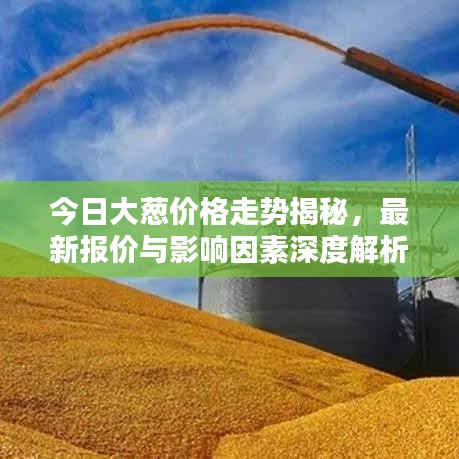 今日大葱价格走势揭秘，最新报价与影响因素深度解析