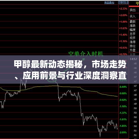 甲醇最新动态揭秘，市场走势、应用前景与行业深度洞察直播热议