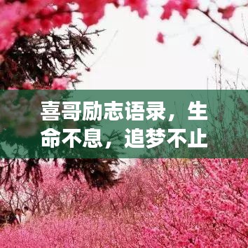 喜哥励志语录，生命不息，追梦不止