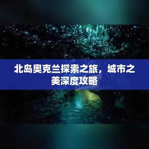 北岛奥克兰探索之旅，城市之美深度攻略